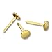ACCO Brands Brass Fasteners, 3/4