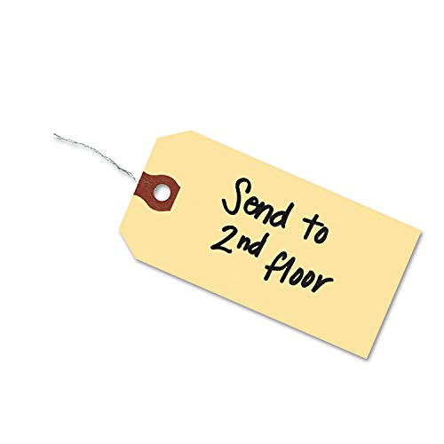 Avery 12601 Double Wired Shipping Tags, 13pt. Stock, 2 3/4 x 1 3/8, Manila (Box of 1000)