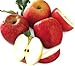 Gala Apples Fresh Produce Fruit, 3 LB Bag