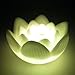Color Changing LED Romantic Love Mood Lamp Night Light Wedding Favor Decoration (Flower)