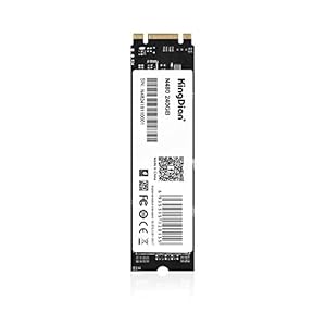KingDian 120 GB 240 512 1 TB m.2 SSD 22×80 Solid state duik voor PC en laptop (240 GB)