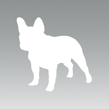 french bulldog accessories canada