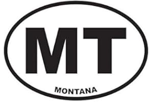 ION GRAPHICS Montana State Oval Sticker Decal Vinyl MT 5" Bumper Locker Laptop Window - Sticks to Any Surface