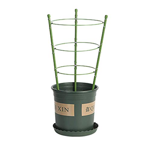Anzmtosn Large Size 24INCH Garden Plant Support Ring Large Size Garden Trellis Flower Stainless Steel Support Climbing Vegtables&Flowers&Fruit Grow Cage with 3 Adjustable Rings 60CM (2PCS) - Thumbnail 4