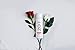 Turn On Personal Lubricant, Strawberry Lube, Flavored Lubricant with Great Strawberry Taste, Water Based Lube 8 oz