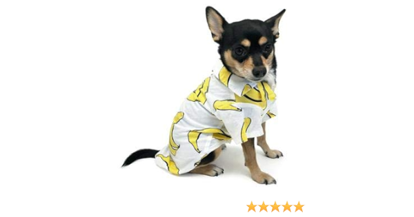 dogo pet fashions