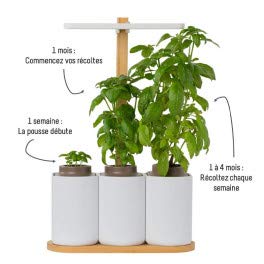 Huerto de cocina Lilo – blanco y bambú – listo para empujar ...