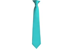 Moda Di Raza Clip on tie, Ties For Boy, Toddler Tie, Clip On Tie Kids Boys Age 8-14 Boys Clip On Ties
