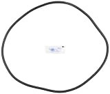 Pentair 27001-0061S Body O-Ring for Tank Replacement for select Sta-Rite Pool and Spa Filters