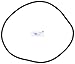 Pentair 27001-0061S Body O-Ring for Tank Replacement for select Sta-Rite Pool and Spa Filters