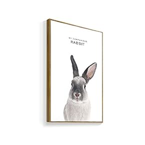 Framed Canvas Wall Art for Living Room, Bedroom Rabbit Canvas Prints for Home Decoration Ready to Hanging - 16x24 inches