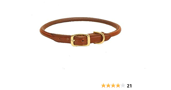 rolled leather dog collar with nameplate