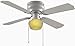 Hampton Bay Littleton 42 in. Ceiling Fan