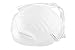SE Disposable Dust Masks (5 PC.) - 906DM