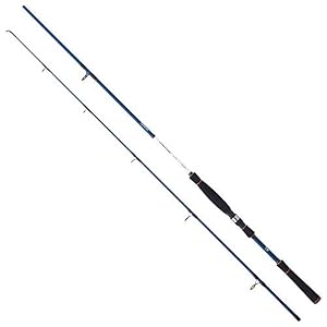 Daiwa Nouveau Canne à Leurre Spitfire Seabass