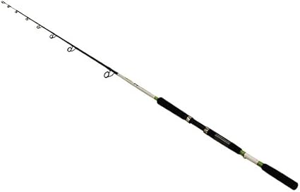 cat daddy rod and reel combo