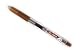 Pilot Juice 0.5mm Gel Ink Ballpoint Pen, Brown (LJU-10EF-BN)