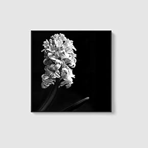 Framed Canvas Home Artwork Decoration Beautiful Flower Canvas Wall Art for Living Room, Bedroom - 16x16 inches