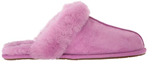 ugg scuffette bodacious