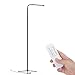 YOUKOYI F9 Modern Touch LED Standing Floor Lamp Reading for Living Room Bedroom with Remote Control (12 Levels Dimmable, 10 Color Temperatures, 6W) Black