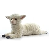hansa sheep