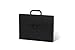 Lightahead LA-7562 Expanding File Folder with Handle and Insert Button with 12 Pockets. Available in Colors Red, Black (Black)