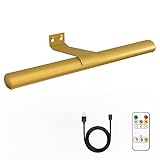 Led Picture Light Gold Wireless with Remote