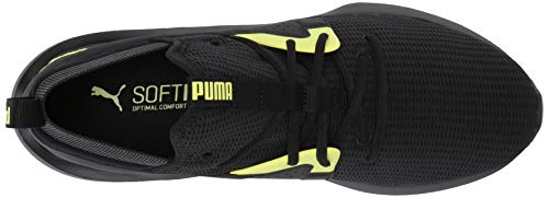 puma emergence future