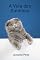 Livro A Vida dos Gatinhos