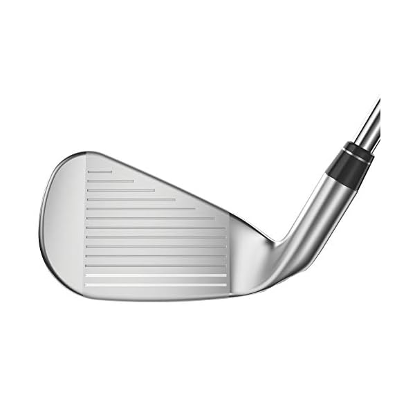 Callaway Big Bertha B21 Iron Set - Image 6
