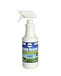 Patchworx Grass and Turf Paint, 32 Ounce Pre-Mixed Ready To Use Spray Bottle - Grass Green