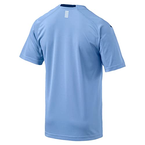 PUMA Mens Uruguay Licensed Replica Jersey 2018-2019, Large, Home
