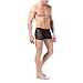 Urparcel Mens See Through Boxer Underwear Bikini Boxer Smooth Mesh Briefs
