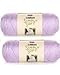Bulk Buy: Caron Simply Soft Yarn Solids (2-pack) (Orchid)