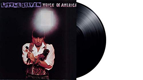 Album art for Voice Of America by Little Steven