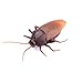 HaiHui Infrared Remote Control Realistic Mock Fake Cockroach RC Toy Prank Insects Joke Scary Trick Bugs for Party (roach)