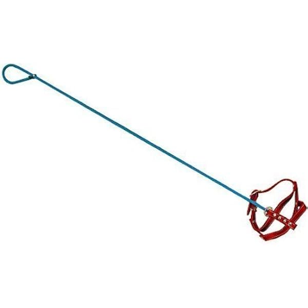 pole leash for dogs