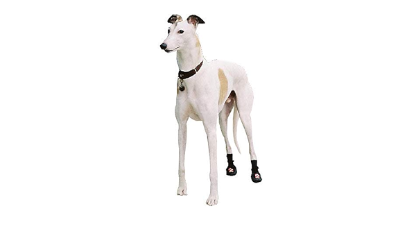 thera paw boots for greyhounds
