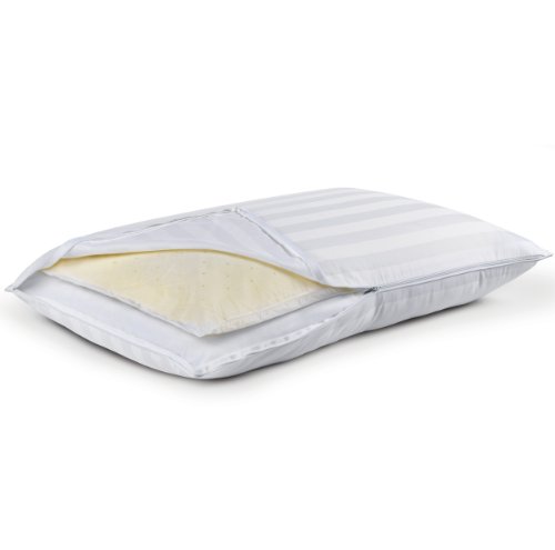 Sleep Innovations 2 In 1 Ventilated Memory Foam And Fiber Fill