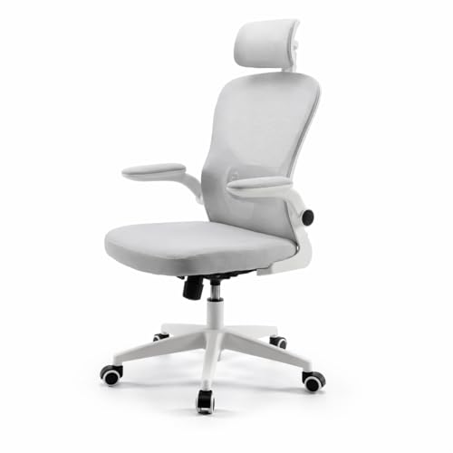 Cadeira Ergonômica Mesh Cinza Giratória Reclinável para Escritório e Home Office - Encosto em Tela, Apoio Lombar e Cabeça Ajustáveis, Braços Pivotantes, Rodízios Silenciosos