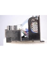 Sanyo PLC XW20 Projector lamp foco de Repuesto con la vivienda   Replacement Lamp de alta calidad