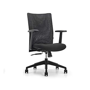 SOS Spacewood LiteOffice Stead Mesh Back Nylon Base Office Chair (Black)