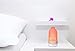 Deneve Essential Oil Diffuser Botella Glass Aromatherapy Oils Humidifier and Mister Perfect Decor Gift for a Peaceful Home Wellness Workout Yoga & Meditation or Office Space (Prism Color)