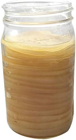 2 x IBIV Organic Kombucha Scoby Live Strong Starter Tea Culture for Healthy Organic Raw Premium Fermented Tea (Each Scoby Makes 1/2 Gallon -1/2 Cup Strong Starter Tea) Includes Instructions