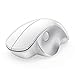 Ergonomic Wireless Mouse, Jelly Comb MV021 2.4GHz Precision Cordless Mouse with Thumb-Operated Scrollwheel, Less Noise, Optical Mice for Laptop PC Windows Computer, White and Silver
