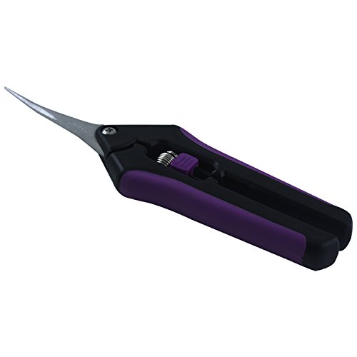 Apollo Horticulture Precision Curved Blade Pruner Shears for Gardening