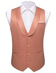 Barry.Wang Mens Orange Vest Formal/Leisure V-neck