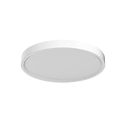 12 Inch 24W LED Flush Mount Ceiling Light