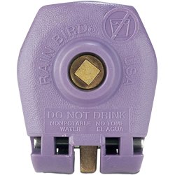 Rainbird 33DNP 3/4" Inlet Quick Coupling Valve