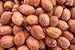 Raw Red Skin Peanuts 5 Pounds Bulk Great Price